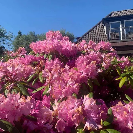 Διαμέρισμα Duena 5